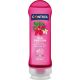 Control Lubricante Thai Passion 2 In 1 Massage & Pleasure Lubricante ligero y no mancha apto para masaje o estimulación 200 ml