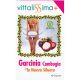 Vittalissima Garcinia Cambogia Complemento Alimenticio Complemento alimenticio controla la sensación de hambre y reduce el almacenamiento de grasas 40 uds